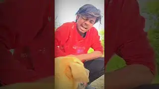 ankit jack funny comady video Dog wala comedy