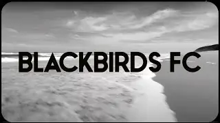 Island of the dogs - Blackbirds FC