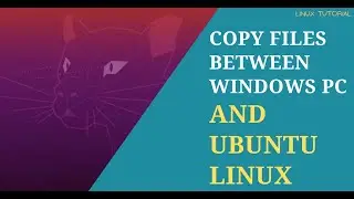 Как передавать файлы между Ubuntu Linux и Windows с помощью FileZilla