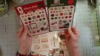 Mystery Box Opening —ECHO PARK