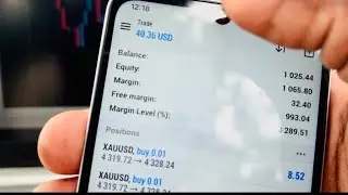 Типы счетов на Форекс: демо, реальный, стандартный, ECN, STP и cTrader (какой из них лучше?)