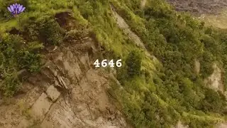 Angel Numbers (4646 Meaning)