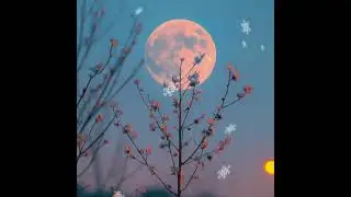  Beautiful nasheed Gym song 