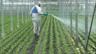 Pump  spray cart moveable hose reel crop protection lettuce nursery greenhouse no damage to crop