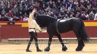 11/03/2018 - Espectáculo de caballo - Magdalena - Castellón  - Caballos en libertad . . . ! ! !