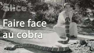 Le royal de Burma : Une pr&ecirc;tresse embrasse le Dieu serpent | SLICE