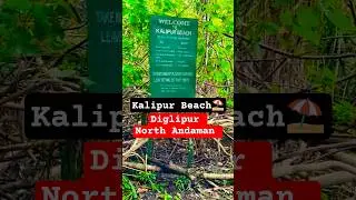 Kalipur beach #diglipur #andaman #andamanandnicobarisland #northandaman #portblair #beach #sea