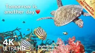 🌟 Ocean Harmony: Healing Music with Underwater Friends 🎵🌊