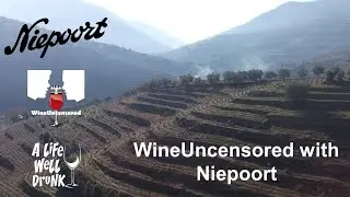 Port Week - WineUncensored with Niepoort