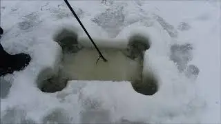Используем пилу для льда!!!! И поимка лосося на камеру!!!