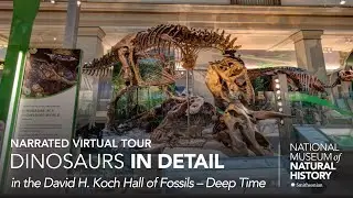 Narrated Virtual Tour: David H. Koch Hall of Fossils &ndash; Deep Time Exhibit &ndash; Dinosaurs in Detail