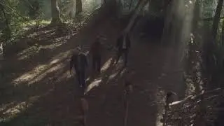 OFFICIAL SUPERNATURAL {SEASON 14} TRAILER