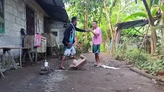 Фейковый розыгрыш с королевской коброй. Смешное видео.