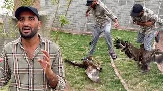 Khatrnak Eagle Agea Or Turab Pr Humla Kr Diya