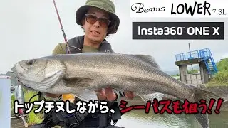 【シーバス】トップチヌしながら、シーバスも狙う！！