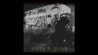 ZUCUTUN -  LEFOS EMKRUDOS -X- DREESSOR ( ritmo x flemaz