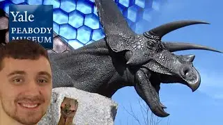 Yale Peabody Museum of Natural History Birthday Trip!