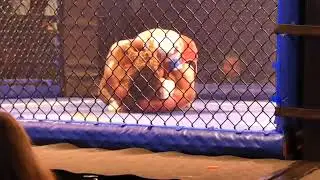 Justin Robinson All In Combat 5 Lightweight Pro MMA Bout