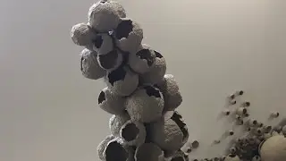 Fashion Interior / Немного интересного с Kyiv Art Week
