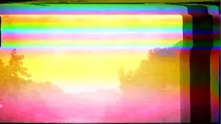 Wildermiss - 