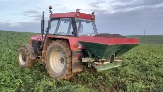 Listopadowe rozsiewanie Black chalk  (CZARNA KREDA)  Wapno na zboża przed Zimą 2022 . GR Zygmunt