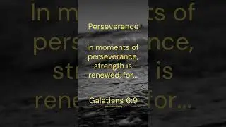 Perseverance and Harvest: Galatians 6:9