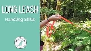 Long Leash Handling Skills