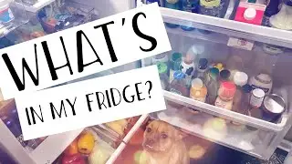 WHAT&rsquo;S IN MY FRIDGE?? | COLLAB WITH THE WELDER&rsquo;S WIFE & MOM&rsquo;S MESSY KITCHEN