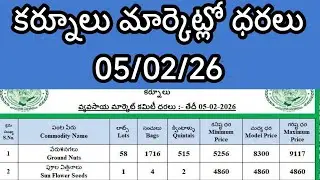 Today Kurnool Market Ratetoday Kurnool Market Rate Kgtoday Kurnool Kurnool Market Yard Rates Today