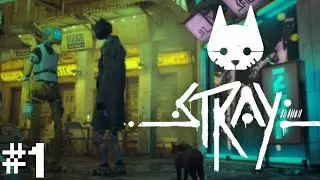 LIVE: Stray Blind | Episode #1(?)