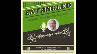 50 - Dr. William Sands, PhD: The Philosophy of Yoga