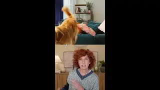 Why You See Your Passed Pet Out of the Corner of Your Eye