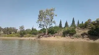 Damas lake fort munro
