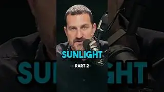 Sunlight Hacks for Energy & Productivity with Dr. Andrew Huberman | Short Tips