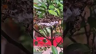 WOULD YOU GO NEAR THIS❓️