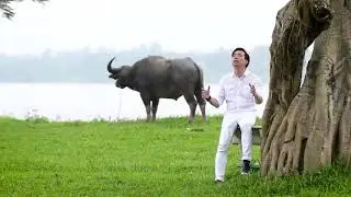 LIÊN KHÚC  TÌNH VÀ YÊU - Ca sỹ Tấn Sơn