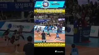 Da-bin | Playing Her Role Nicely While Bukilic Injured!! #koreanvolleyball #megawatihangestri