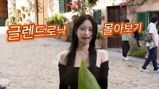 글렌드로낙 12년,15년,18년,21년,cs, 전체비교까지! / 글렌드로낙 몰아보기