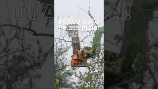 Our Merlo Roto Telehandler in action! #treework #heavyequipment #trees #shorts