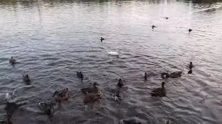20180827 193943