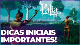Palia: Dicas B&aacute;sicas Que Passam Despercebidas As Vezes!