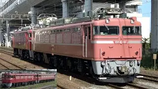 【元お召指定機引退】EF81 81+ED75 758 AT入場配給（廃車回送）2025.9.2