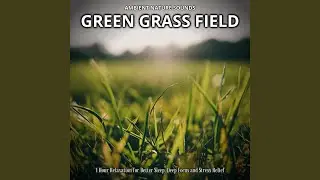 Green Grass Field (Outro)