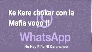 Los Mejores Audios de Whatsapp | Kere Chocar con La Mafia