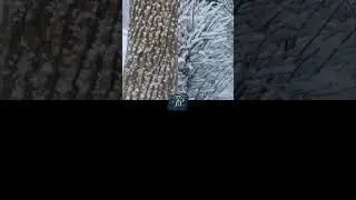 First Snow 2024 | Chicago | Illinois | USA | P2P | 4K