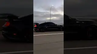 Shelby GT500 Rolling! 🏎️🐍