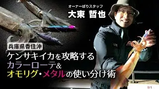 ケンサキイカを攻略するカラーローテ＆オモリグ・メタルの使い分け術/兵庫県香住沖