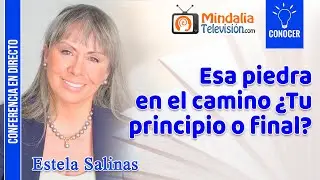 Esa piedra en el camino &iquest;Tu principio o final?, por Estela Salinas