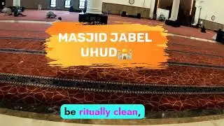 Saudi arabia 🇸🇦 🕌 madina 🔻 about cats in islam  