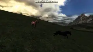 Epic mount battle